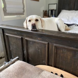 Meet your Posher, Darius